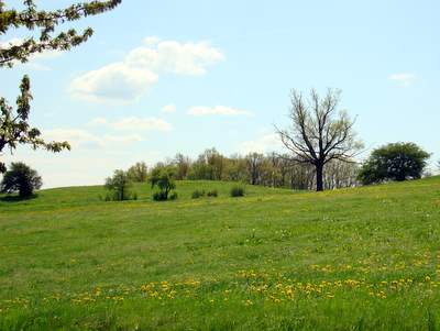 Unser Dorf