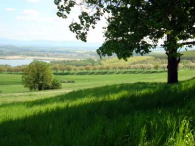 Unser Dorf