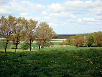 Unser Dorf