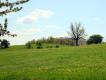 Natur pur gleich am Ortsrand